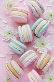 Beautiful colourful delicious macaroons on a pink background
