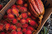 Vibrant collection of Rambutan and Cacao in Costa Rica