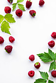 Frische reife Bio-Himbeeren