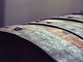 Detailed description of traditional Mallorcan palo liqueur