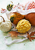 Autumnal composition with various pumpkins in an eco string bag