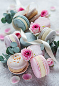 Beautiful colourful delicious macaroons on a concrete background