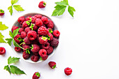 Frische reife Bio-Himbeeren
