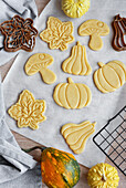 Preparing festive biscuits to bake in the oven
