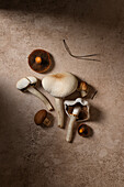 Various mushrooms on a textured beige surface