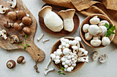 Assortment of various raw mushrooms on a grey concrete background