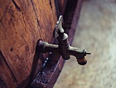 Antique wooden barrel tap dripping in a distillery