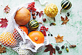 Autumn composition with assorted pumpkins in eco string bag