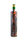 Aromatic Mallorcan Herbs Liqueur in Transparent Bottle