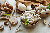 Assortment of different raw mushrooms on a grey concrete background