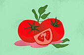 Brightly colored tomatoes illustration with leaves