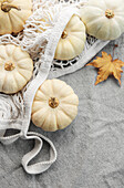 Autumn composition from above with pumpkins in a shopping bag