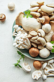 Assortment of various raw mushrooms on a grey concrete background