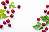 Frische reife Bio-Himbeeren