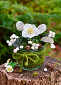 Kleiner Winterstrauss aus Christrose (Helleborus niger), Schneebeeren (Symphoricarpos) und Silberblatt (Lunaria annua)