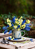 Kleiner Strauß aus Schlüsselblumen (Primula veris) und Traubenhyazinthen (Muscari) in Tasse