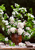 Weißer Strauß aus Zweigen von Apfelbaum (Malus) und Duft-Schneeball (Viburnum carlcephalum)