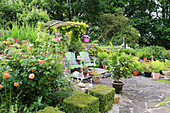 Romantischer Sitzplatz mit Adirondack-Stühlen, Rosen und Orangenbaum im Sommergarten