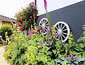 Bunter Sommergarten mit Fingerhut (Digitalis), Rosen und dekorativen Wagenrädern an der Hauswand