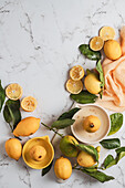 Squeezed and whole lemons with lemon squeezer