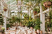 Morocco, Marrakesh, Beldi Country Club, Story: The stunning charm of the Beldi greenhouses