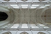 France, Somme, Saint Riquier, abbey church dated 13th century, Nave vault