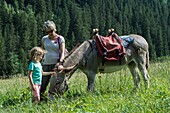 Frankreich, Savoyen, Berg der Vanoise, Pralognan la Vanoise, eine Familie wandert mit einem Esel durch den Weiler Cholliere, Großmutter mit ihrer Enkelin