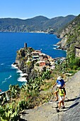 Italien, Ligurien, Provinz La Spezia, Nationalpark Cinque Terre, von der UNESCO zum Weltkulturerbe erklärt, Azuverde oder Fußgängerküstenweg, der Corniglia mit Monterosso verbindet, via Vernazza, Dorf Vernazza