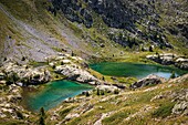 Frankreich, Alpes-Maritimes, Nationalpark Mercantour, der Rosenkranz der Venser Seen