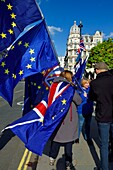 Vereinigtes Königreich, London, City of Westminster, Protest gegen Brexit im britischen Parlament, Europaflagge