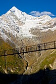 Schweiz, Wallis, Zermatter Tal, Wanderung zwischen Randa und Zermatt auf dem Europaweg mit der längsten Fussgänger-Hängebrücke der Welt (500 m), Blick Richtung Weisshorn