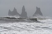 Island, Sudurland, Vik, Reynisdrangar-Nadeln