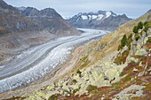 Switzerland, Valais, Aletsch region, home to largest glacier in the Alps, with 20km length