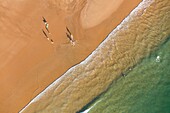 France, Vendee, La Tranche sur Mer, the beach in summer (aerial view)