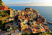 Italien, Ligurien, Provinz La Spezia, Nationalpark Cinque Terre, von der UNESCO zum Weltkulturerbe erklärt, Dorf Manarola