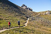 Frankreich, Alpes-Maritimes, Nationalpark Mercantour, Wanderer auf dem Col du Fer (2584m) zum Collet de Tortisse (2591m)