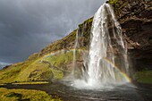 Island, Sudurland, Seljalandsfoss Wasserfall, Regenbogen