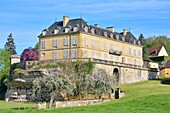 Frankreich, Dordogne, Perigord Noir, Dordogne-Tal, Saint Andre d'Allas, Limousin-Rinderrasse und Chateau du Roc aus dem 18.