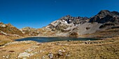 France, Haute Savoie, Mont Blanc massif, Contamines Montjoie, in the nature réserve, panoramic view of Lake Jovet and Mount Tondu