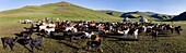 Kyrgyzstan, Naryn province, Son-Kol lake, altitude 3000m, panoramic view of a herd of goats in front of a yurt camp