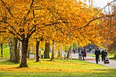 France, Paris, Bois de Vincennes, the Floral Park in autumn