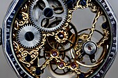 France, Doubs, Watchmaking, watch mechanism manufacture Haut-Doubs inserted into a glass case