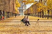 France, Paris, the Tuileries garden in autumn, terrace of the water's edge and the pavilion of the Louvre