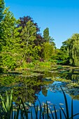 Frankreich, Eure, Giverny, die Gärten von Claude Monet in Giverny in der Normandie