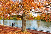 France, Paris, the Bois de Boulogne in autumn, lower lake