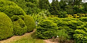 France, Pas de Calais, Séricourt, Les Jardins de Séricourt, park of more than 4 hectares recognized as one of the most beautiful gardens of France labeled Remarkable Garden by the Ministry of Culture and elected Garden of the year 2012 