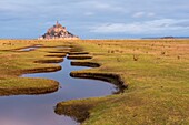 Frankreich, Manche, Bucht von Mont Saint Michel, UNESCO-Welterbe, Abtei von Mont Saint Michel, Salzwiese bei Flut