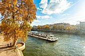 France, Paris, area listed as World Heritage by UNESCO, the banks of Seine river the quays of the Louvre in autumn