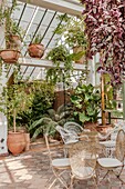 Morocco, Marrakesh, Beldi Country Club, Story: The stunning charm of the Beldi greenhouses