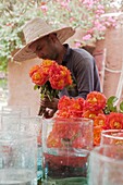 Marokko, Marrakesch, Beldi Country Club, Geschichte: Märchenhafter Rosengarten